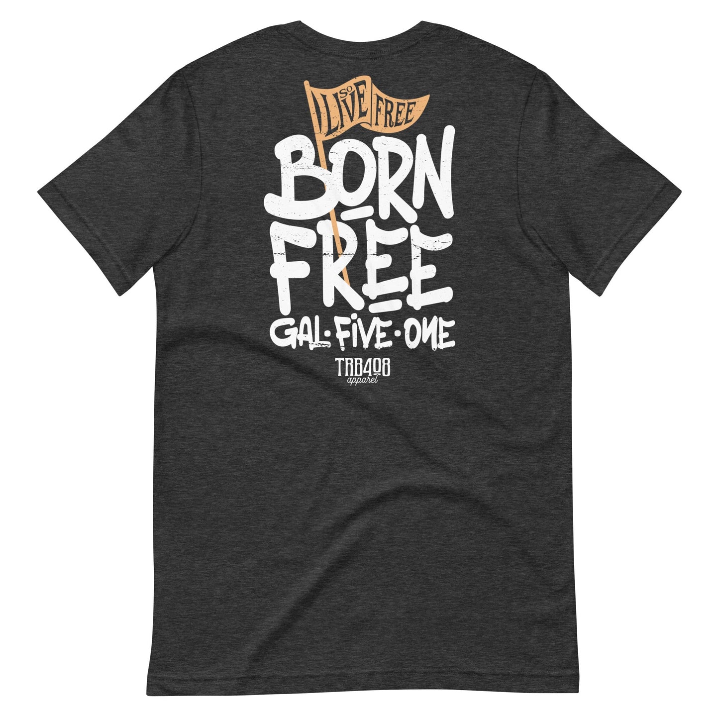 Gray short sleeve Born Free Tee, Back, Christian Apparel