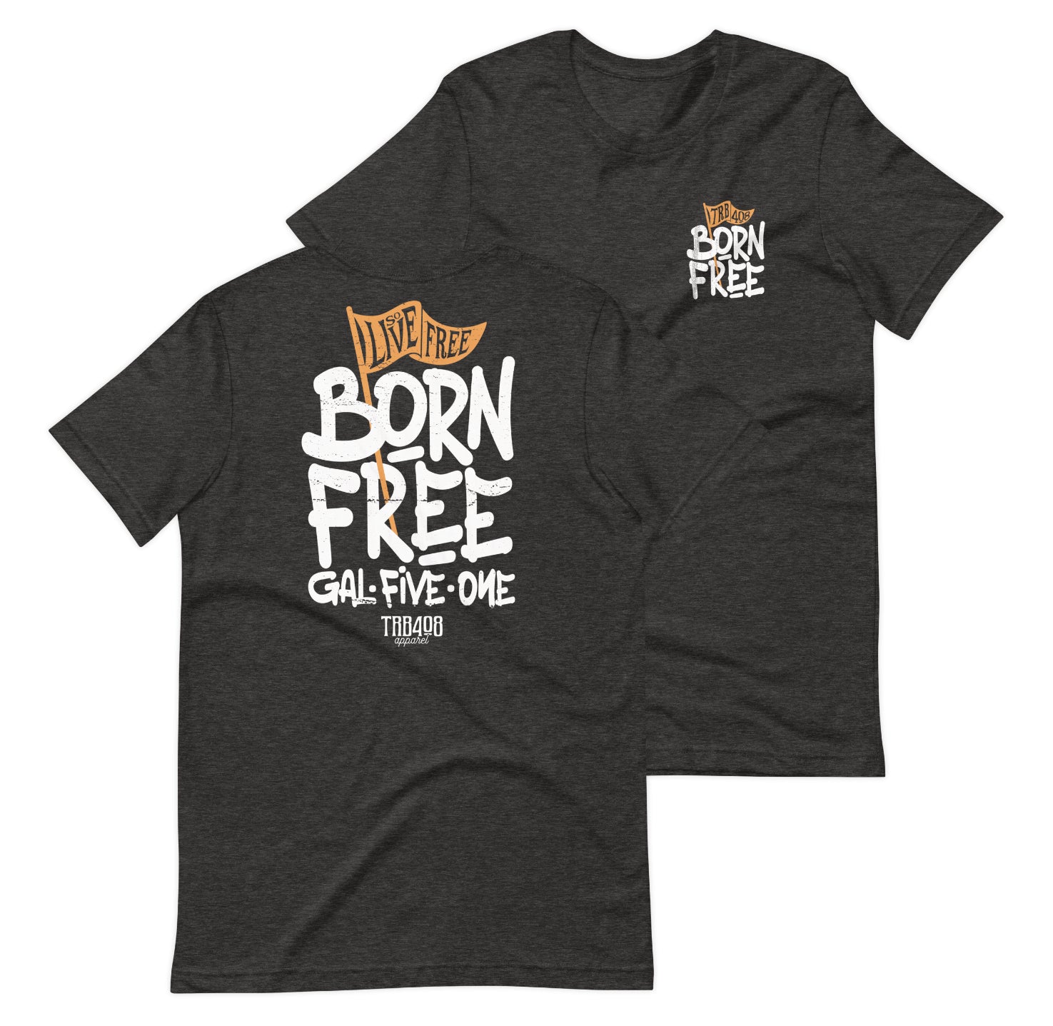 Gray short sleeve Born Free Tee, Front and Back, Christian Apparel