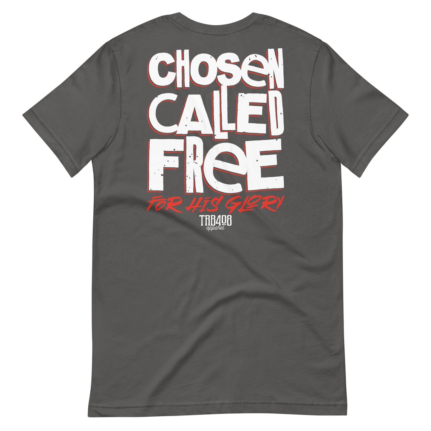 Gray short sleeve CCFG Tee, Back, Christian Apparel