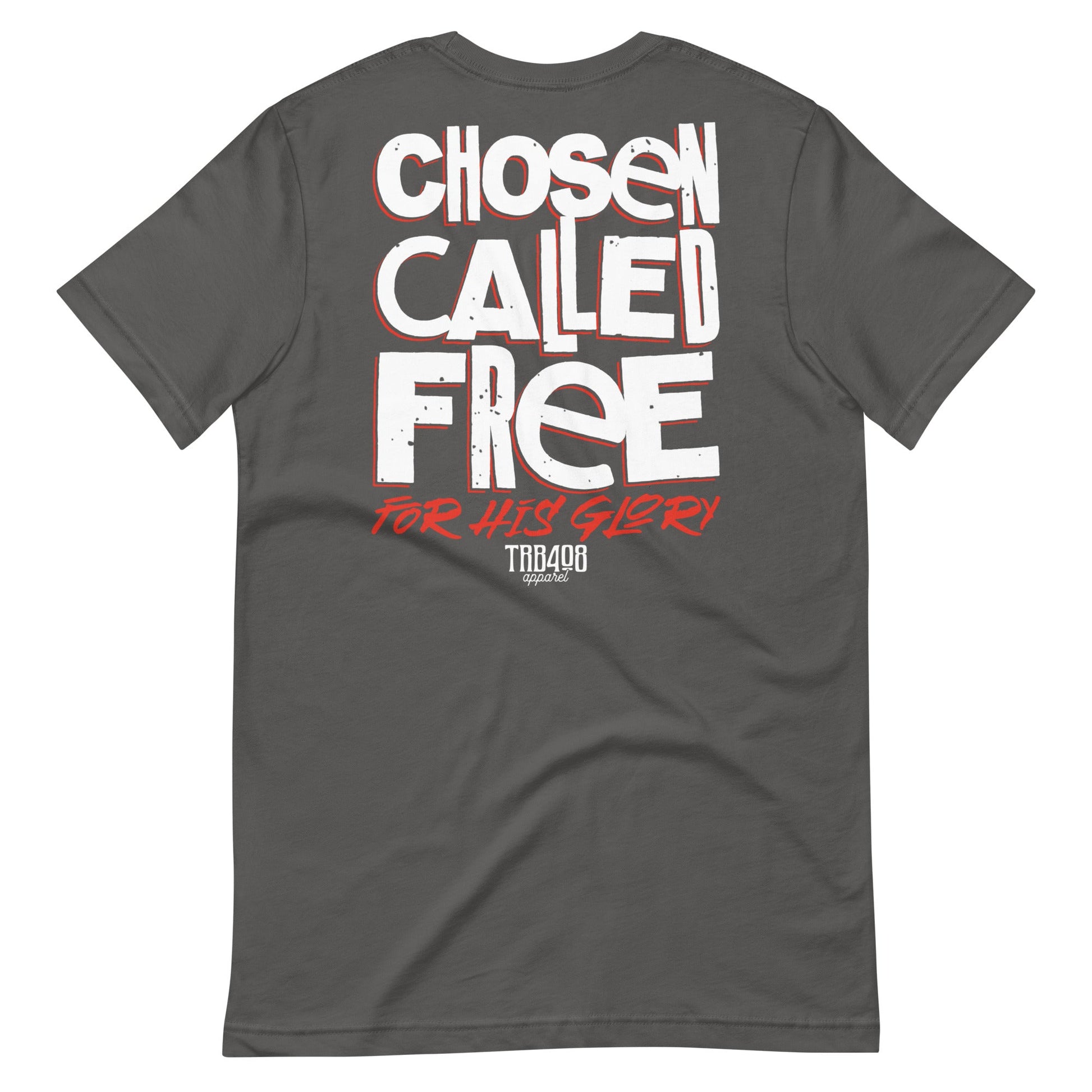 Gray short sleeve CCFG Tee, Back, Christian Apparel