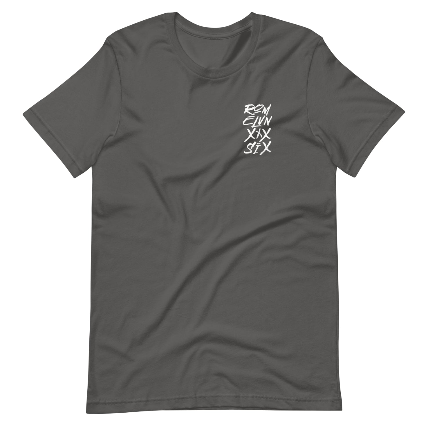 Gray short sleeve Dust & Glory Tee, Front, Christian Apparel