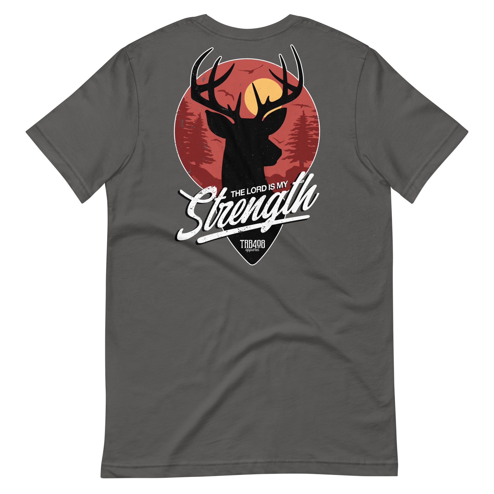 Gray short sleeve My Strength Tee, Back, Christian Apparel