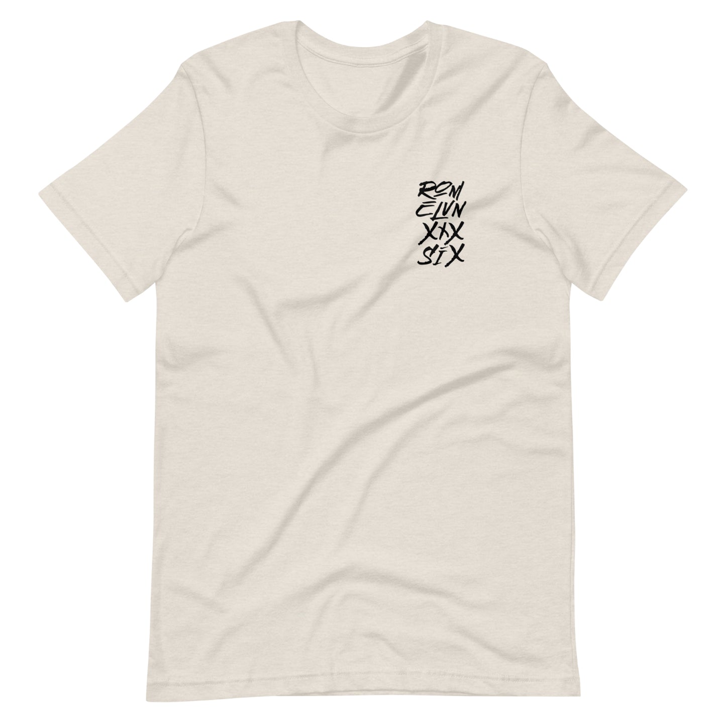 Dust short sleeve Dust & Glory Tee, Back, Christian Apparel